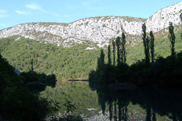 cetina